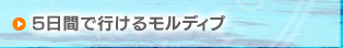 5日間で行けるモルディブ