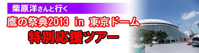 鷹の祭典2013