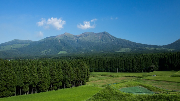 小笠原海洋センター