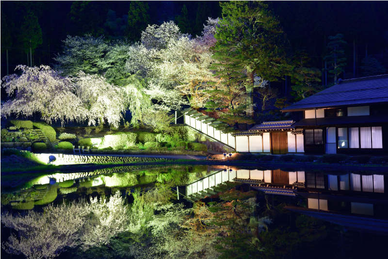 飛騨路の桜めぐり～知られざる名木を撮る～