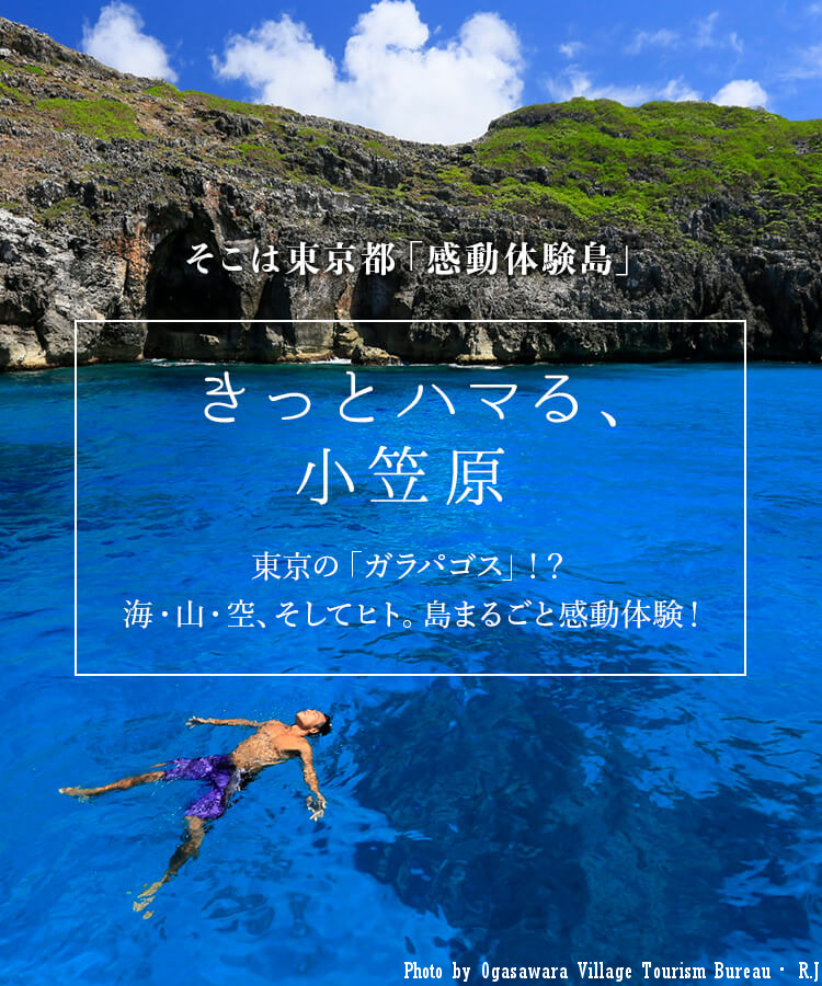 そこは東京都「感動体験島」 きっとハマる、小笠原諸島（父島） 東京の「ガラパゴス」！？ 海・山・空、そしてヒト。島まるごと感動体験！