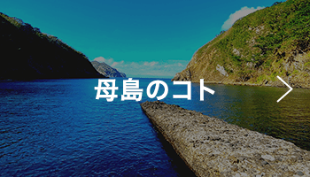 父島への行き方