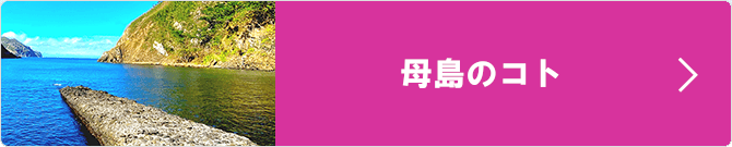 母島のコト