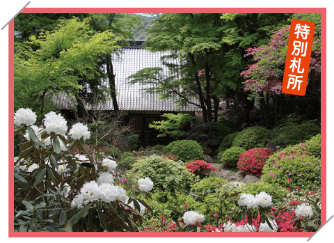 金剛山　長安寺