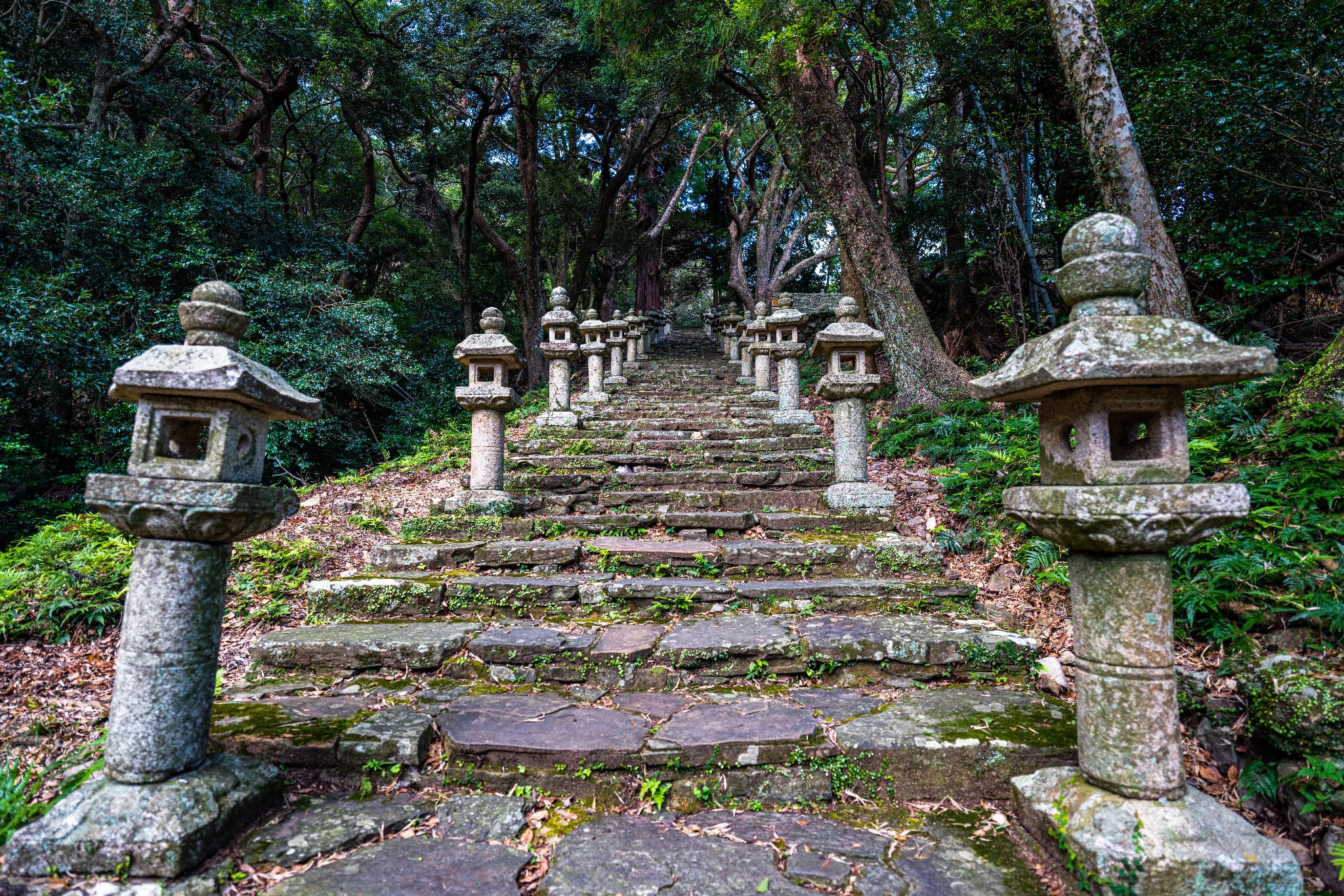 万松院