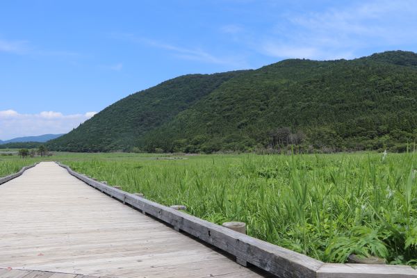 タデ原湿原