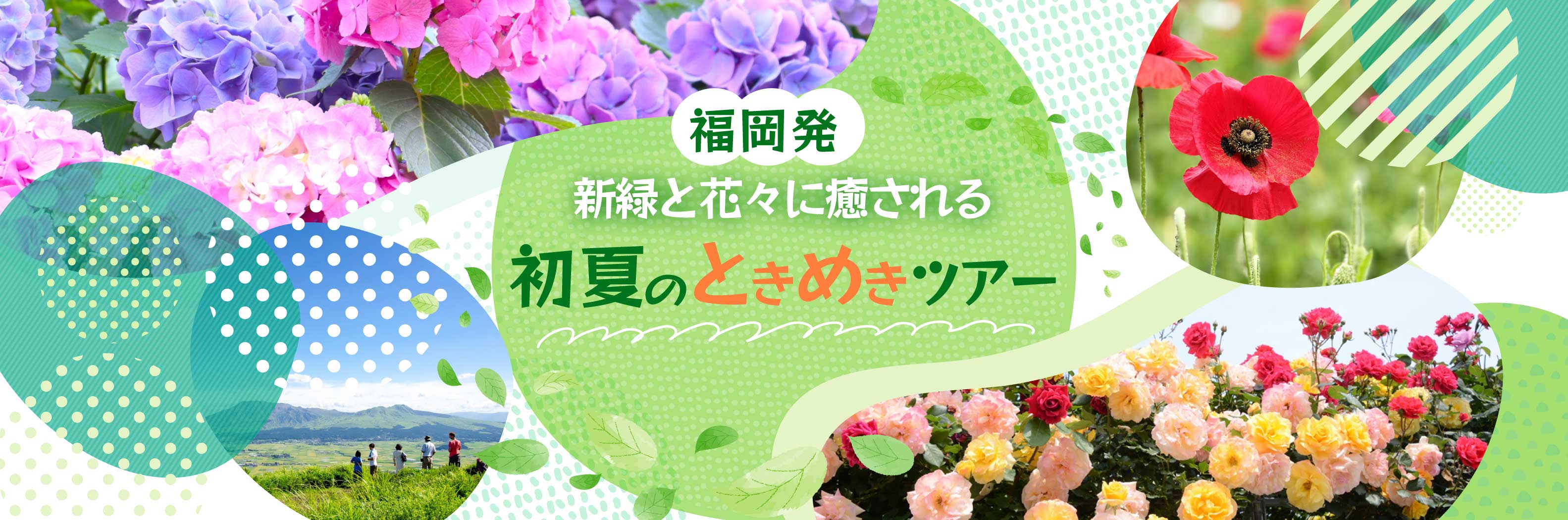 福岡発　新緑と花々に癒される初夏のときめきツアー特集