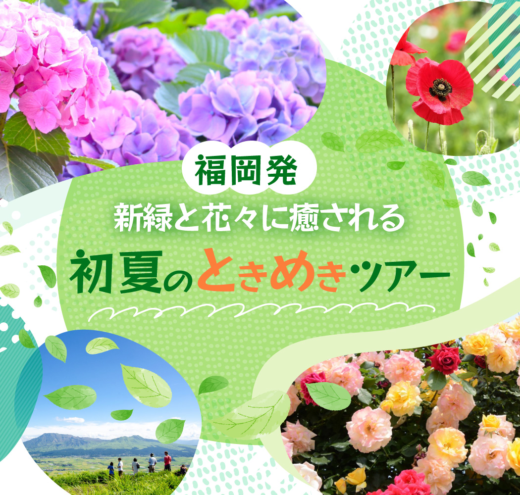 福岡発　新緑と花々に癒される初夏のときめきツアー特集