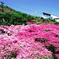 雲仙仁田峠