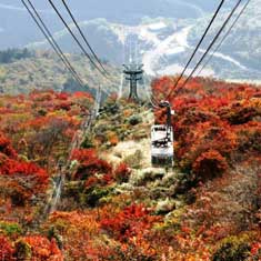鶴見岳