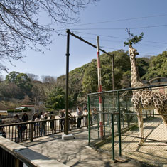 動植物園