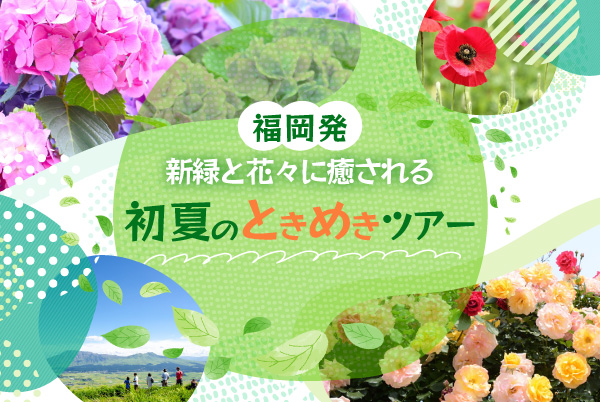 福岡発初夏の日帰りバスツアー