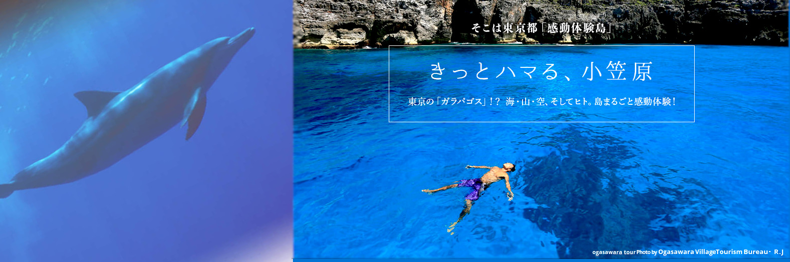 西鉄旅行 国内旅行 海外旅行の予約なら西鉄旅行 西鉄旅行 国内旅行 海外旅行の予約なら西鉄旅行