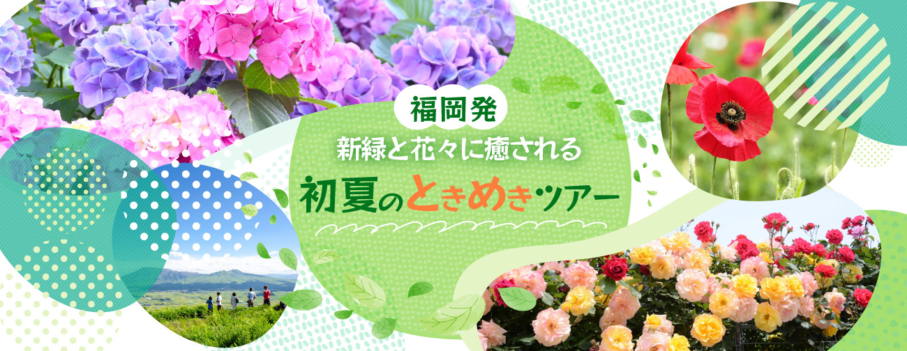 初夏のときめき日帰りバスツアー