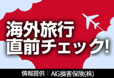 AIG損害保険