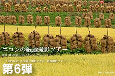 ニコンの厳選撮影ツアー