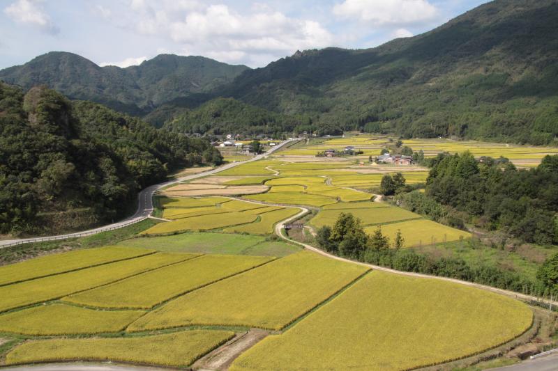 田染荘