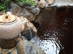 嬉野温泉　茶心の宿　和楽園