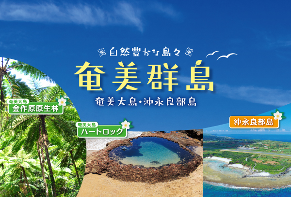 九州旅行を格安で探す おすすめの九州ツアー 西鉄旅行 九州旅行を格安で探す おすすめの九州ツアー 西鉄旅行