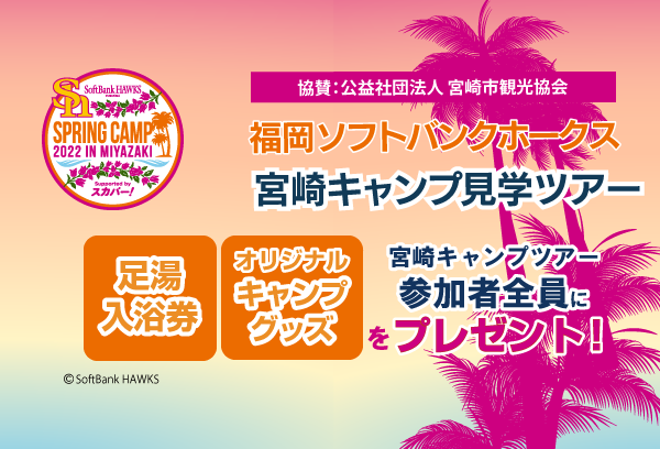 宮崎旅行を格安で探す おすすめの宮崎ツアー 西鉄旅行