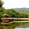 奈良旅行・奈良ツアー一覧