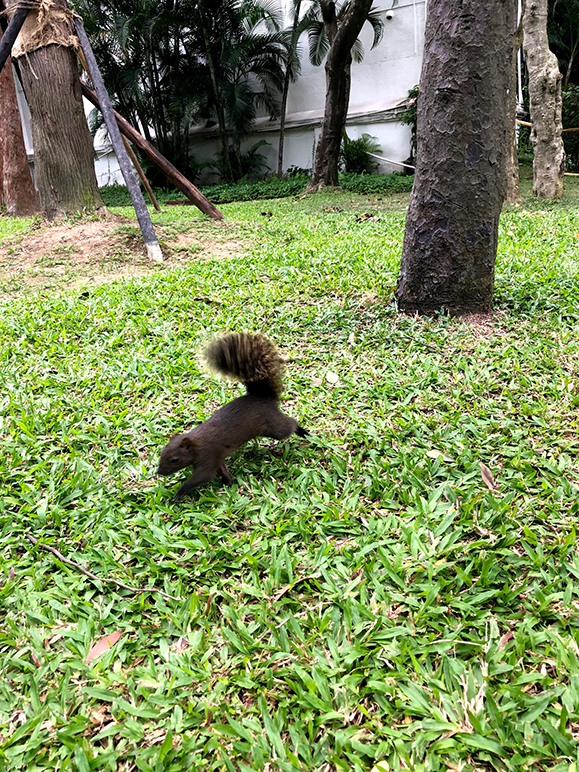 二二八和平公園