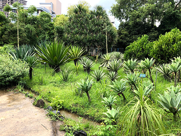 台北植物園