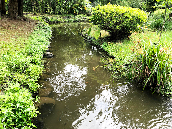 台北植物園