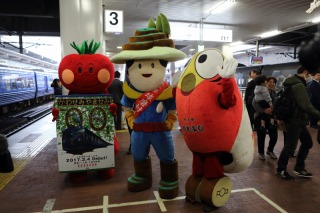 かわせみ　やませみ