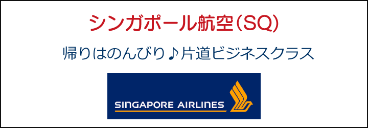 シンガポール航空ビジ